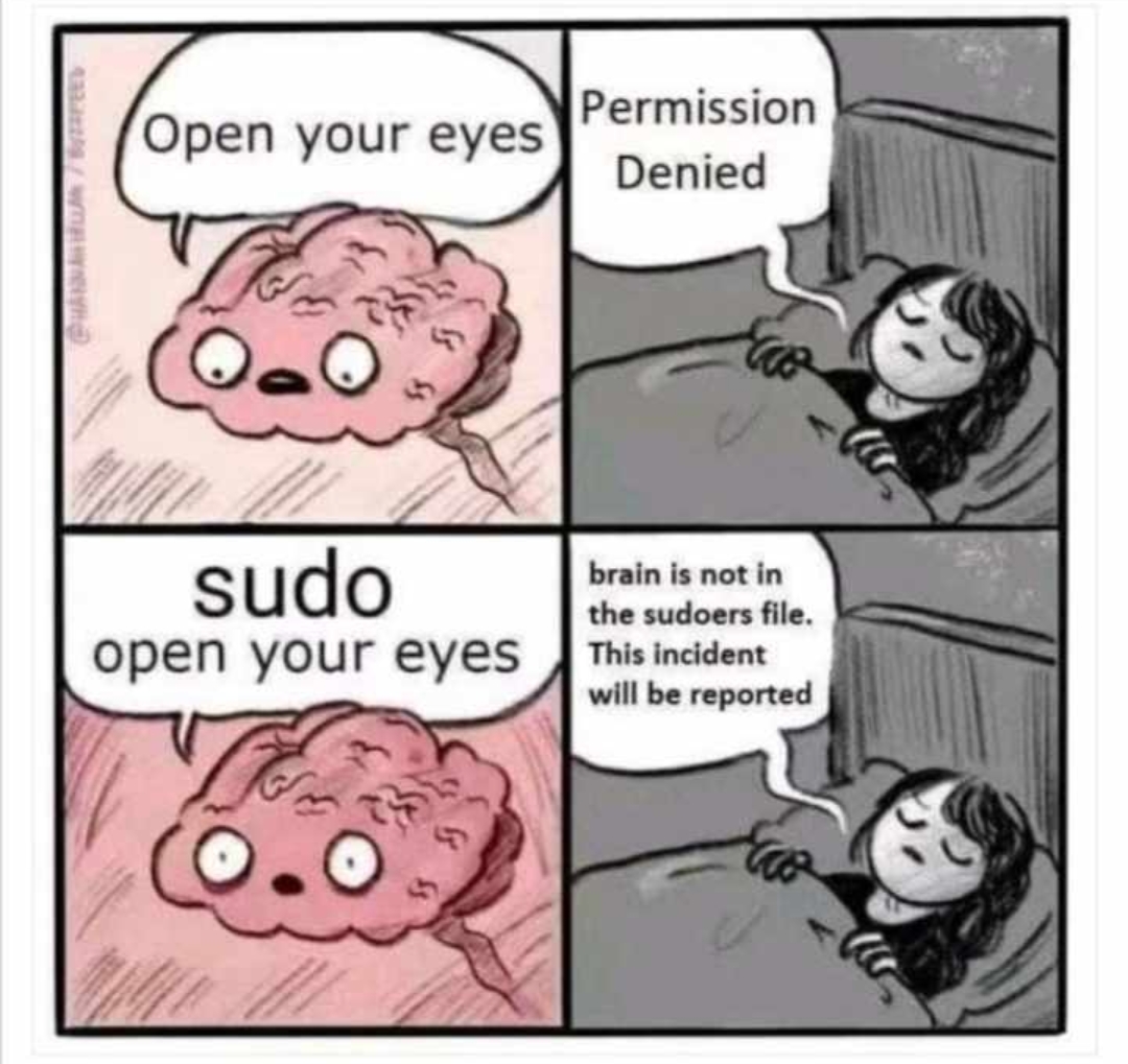 Meme comando sudo