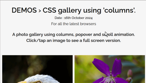 Ejemplo de galería de imágenes