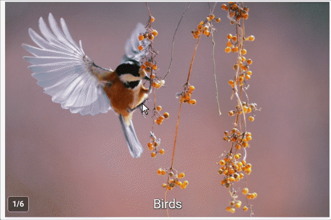 Ejemplo de galería de imágenes