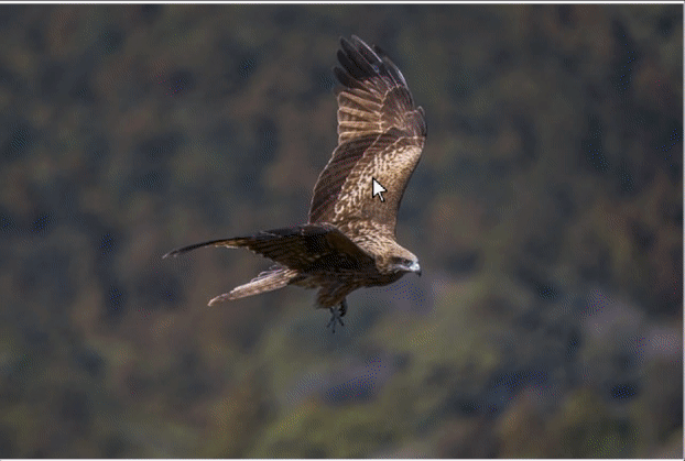 Ejemplo de galería de imágenes