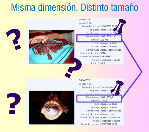 Mismas dimensiones en dos imágenes con distinto tamaño