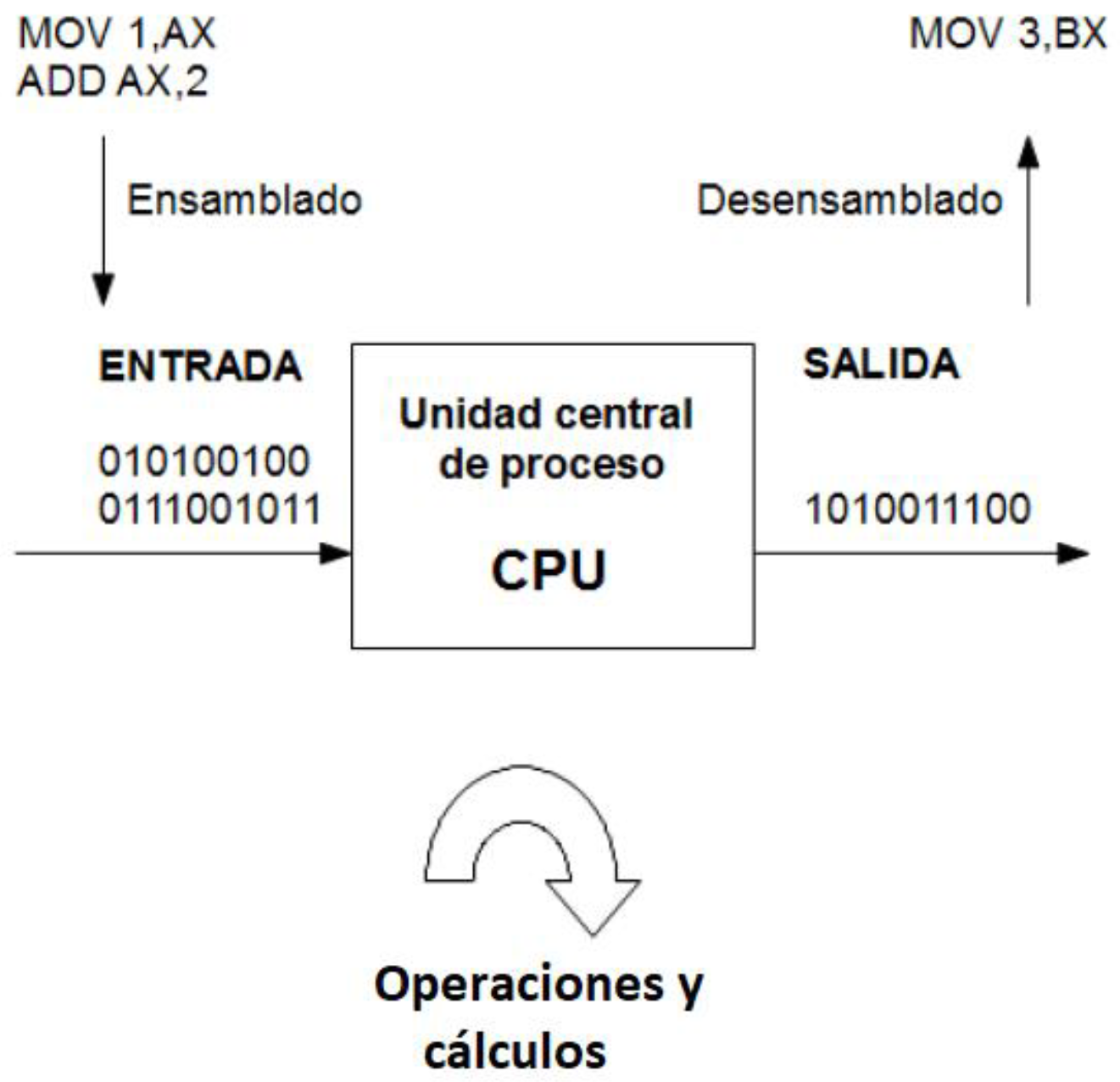 Entrada y salida del lenguaje ensamblador