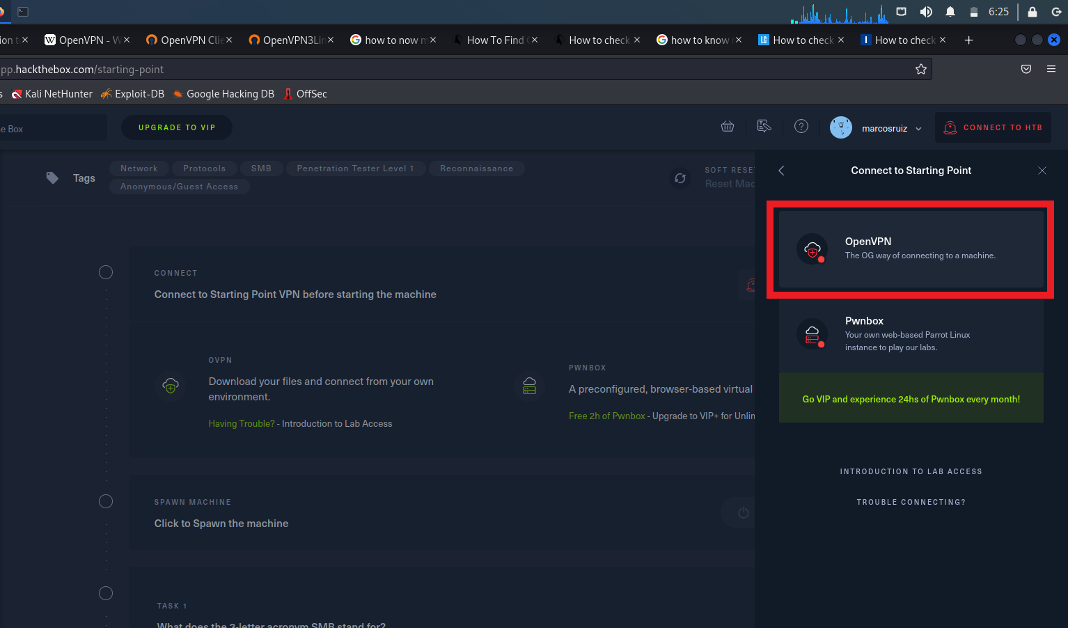 Click en botón "OpenVPN"