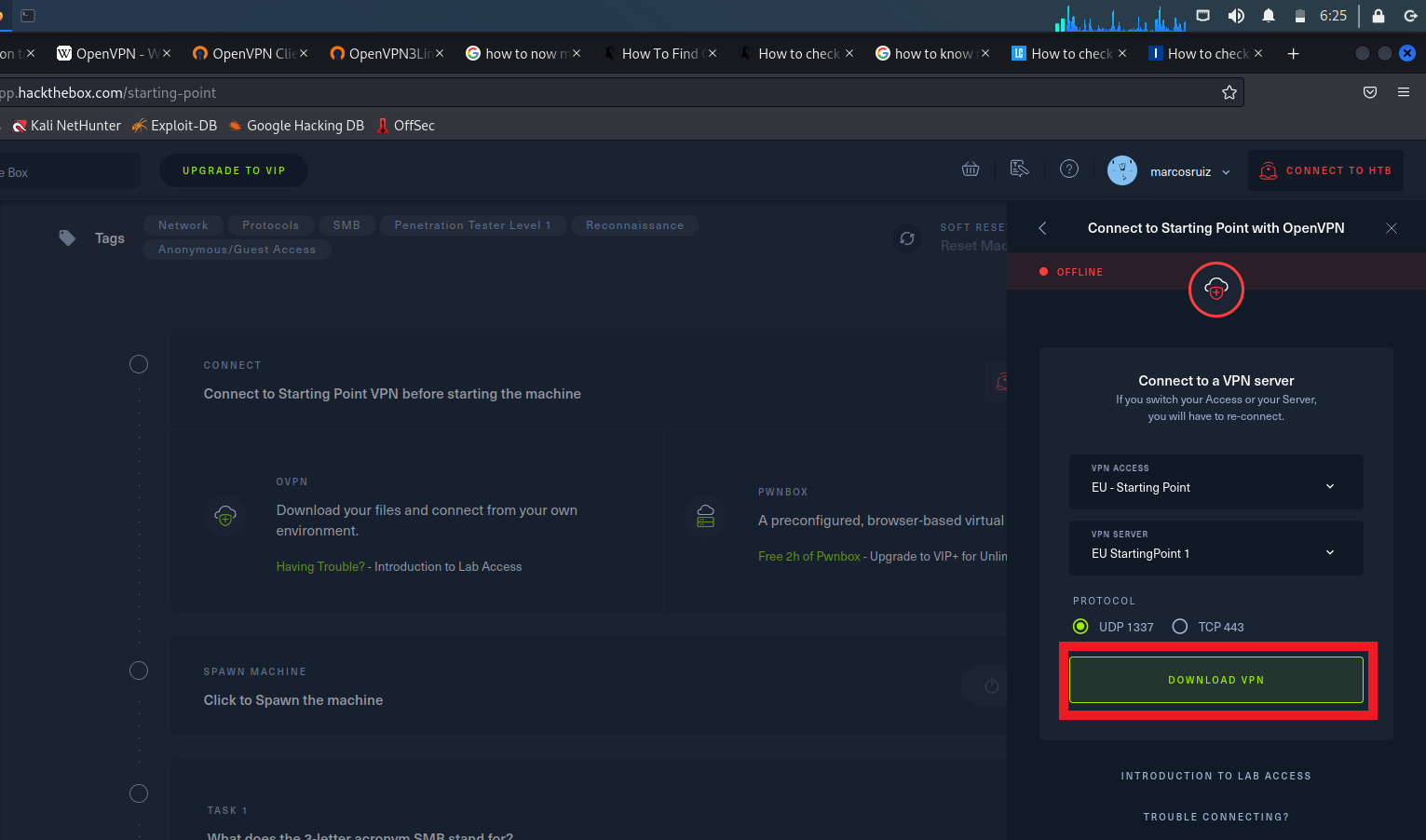 Click en botón "DOWNLOAD VPN"