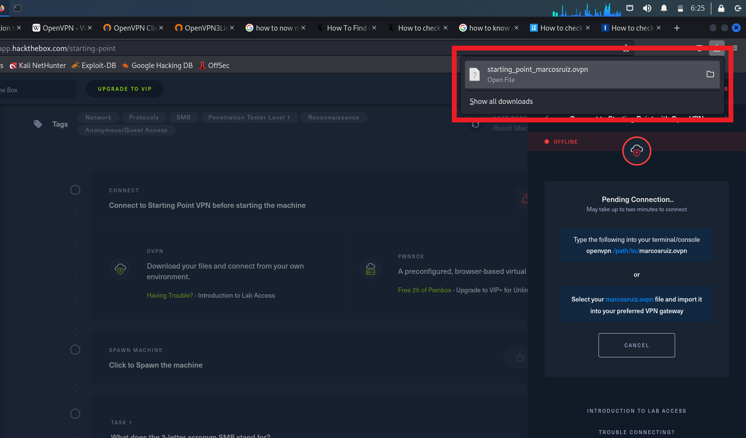 Descarga del fichero OVPN completada