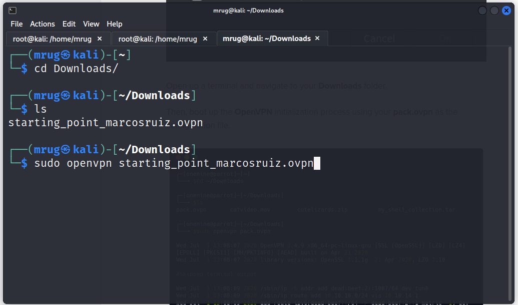 Comando para conectar a la VPN