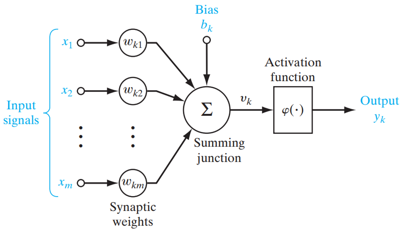 Estructura básica de una neurona