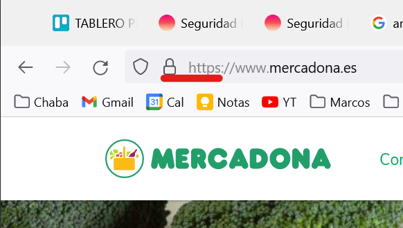 Protocolo de seguridad HTTPS